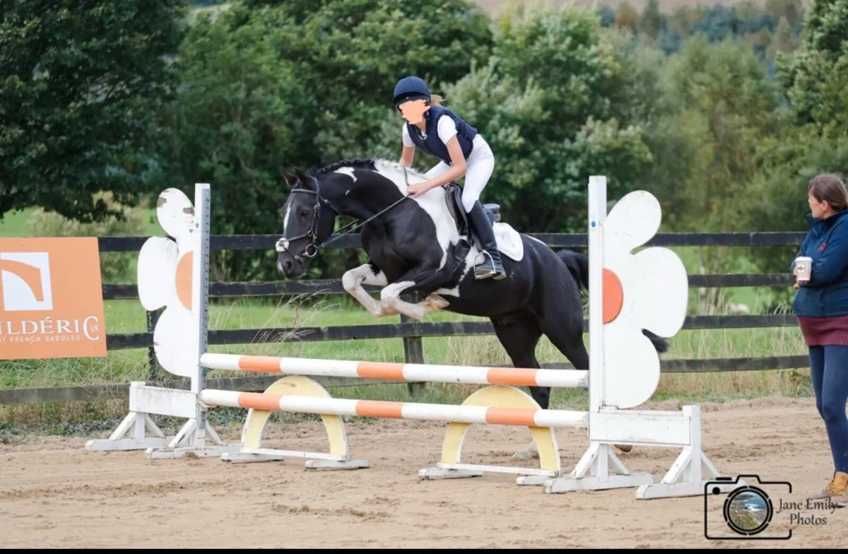 All rounder pony - Image 4
