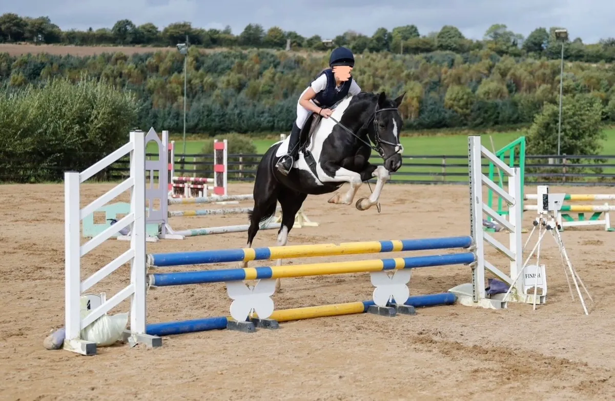 All rounder pony - Image 1