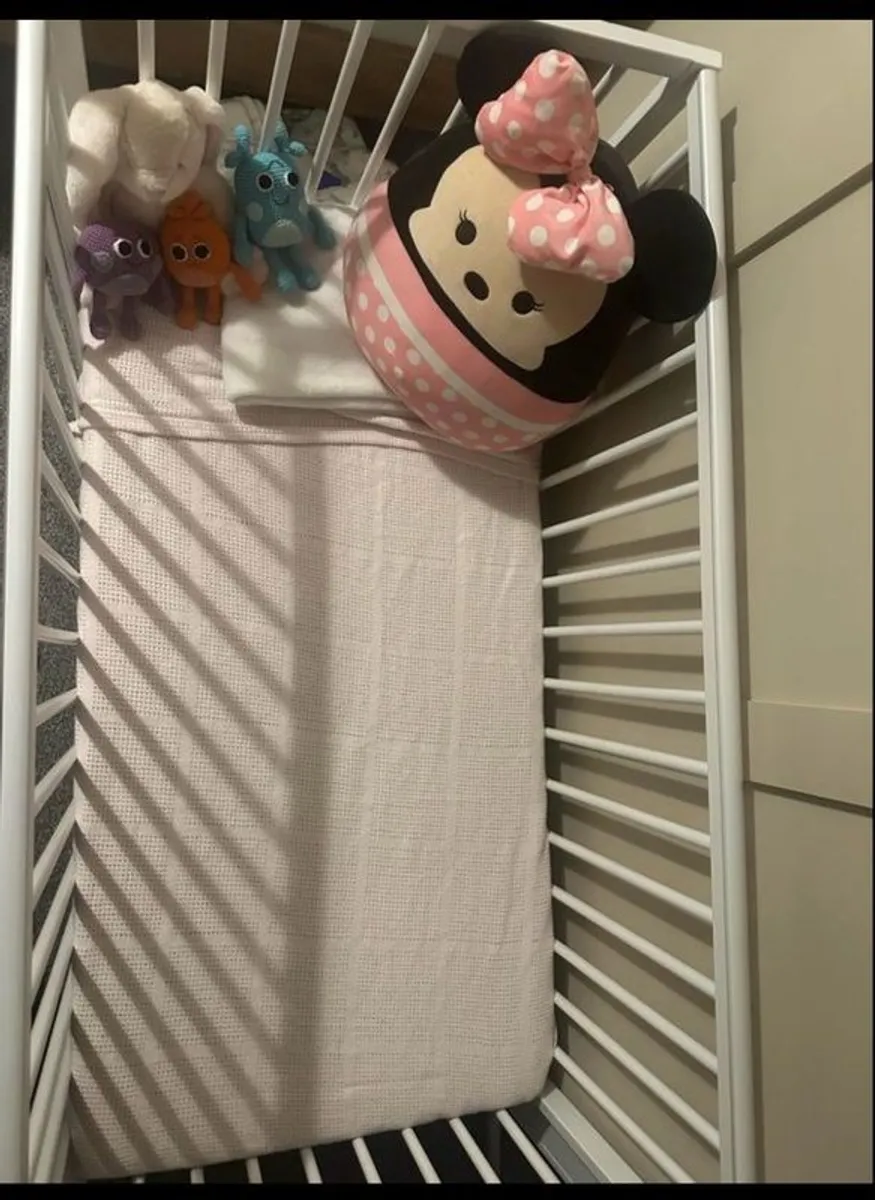 Cot - Image 3