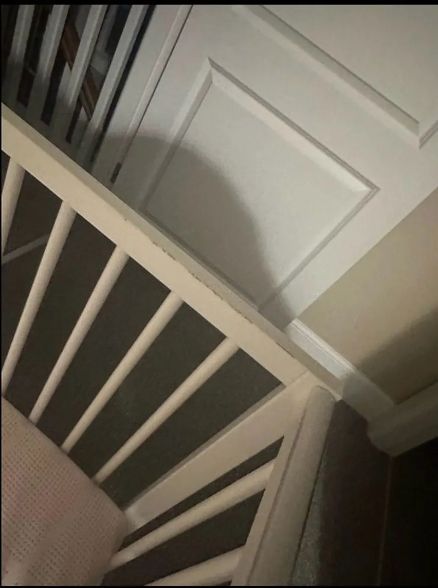 Cot - Image 4