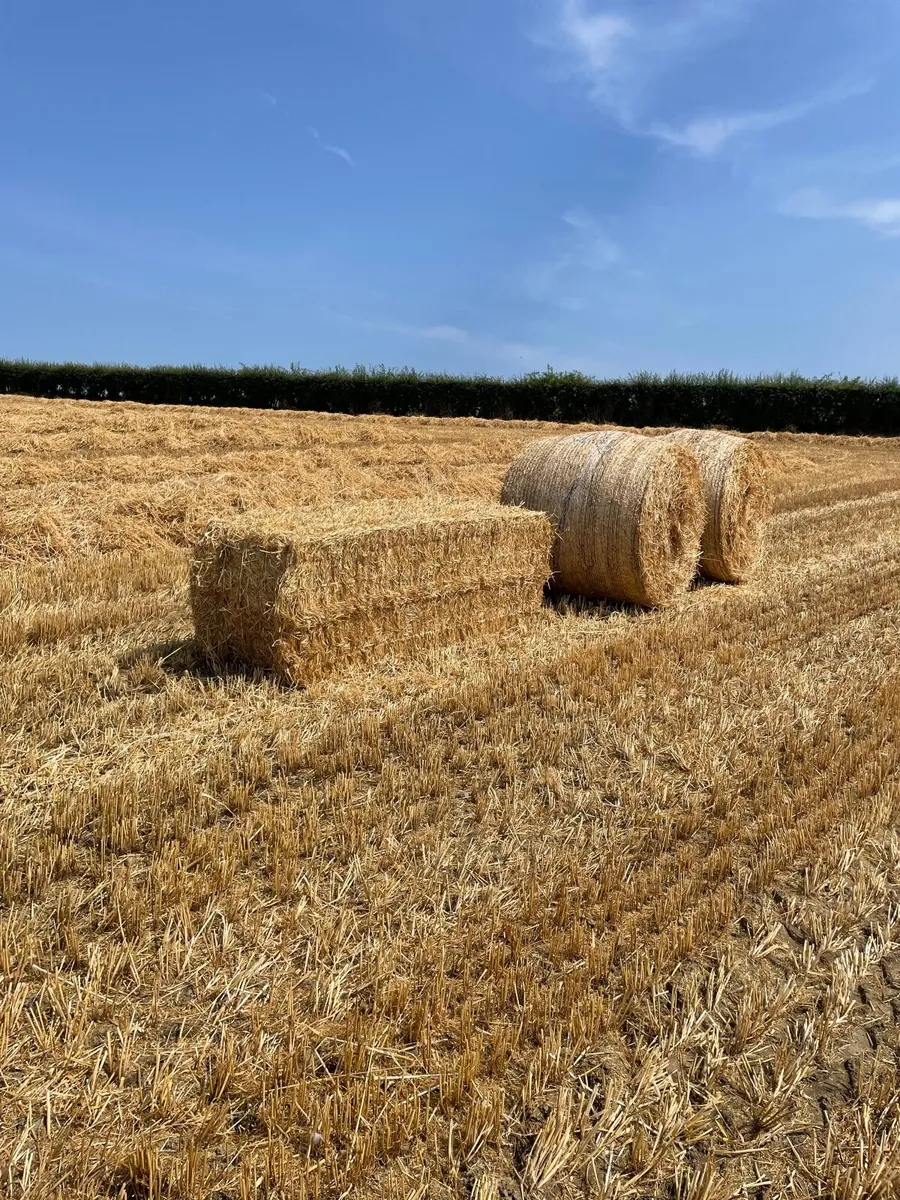 Straw