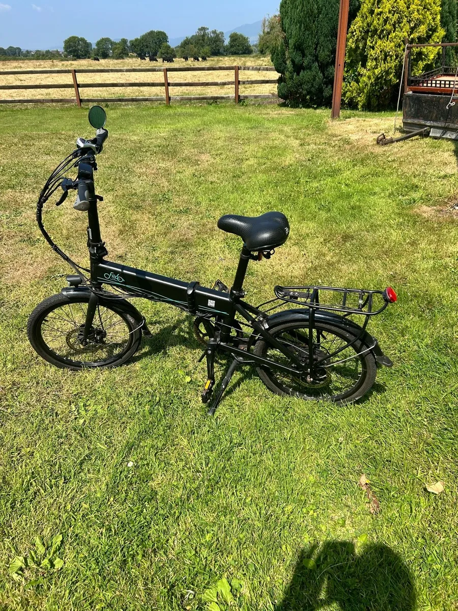Fiido D4 electric bike - Image 1