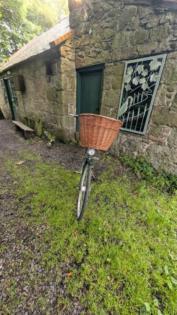 Pashley Princess Sovereign can deliver - Image 4