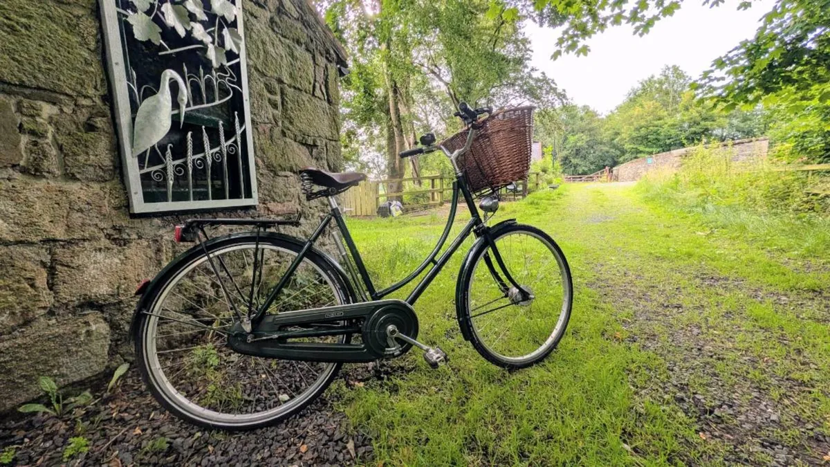 Pashley Princess Sovereign can deliver - Image 2