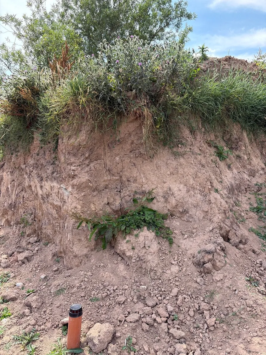 Top soil