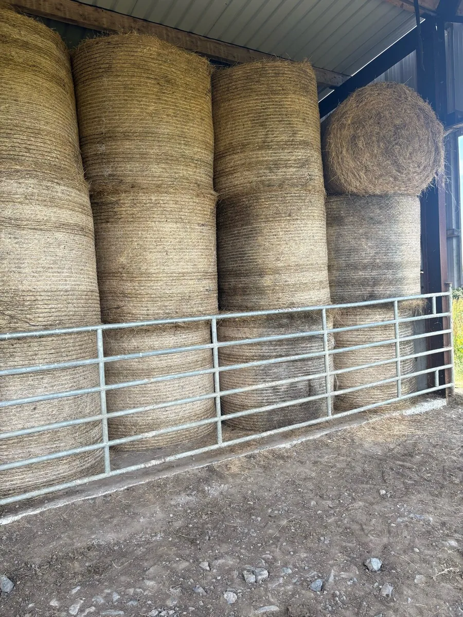 Hay