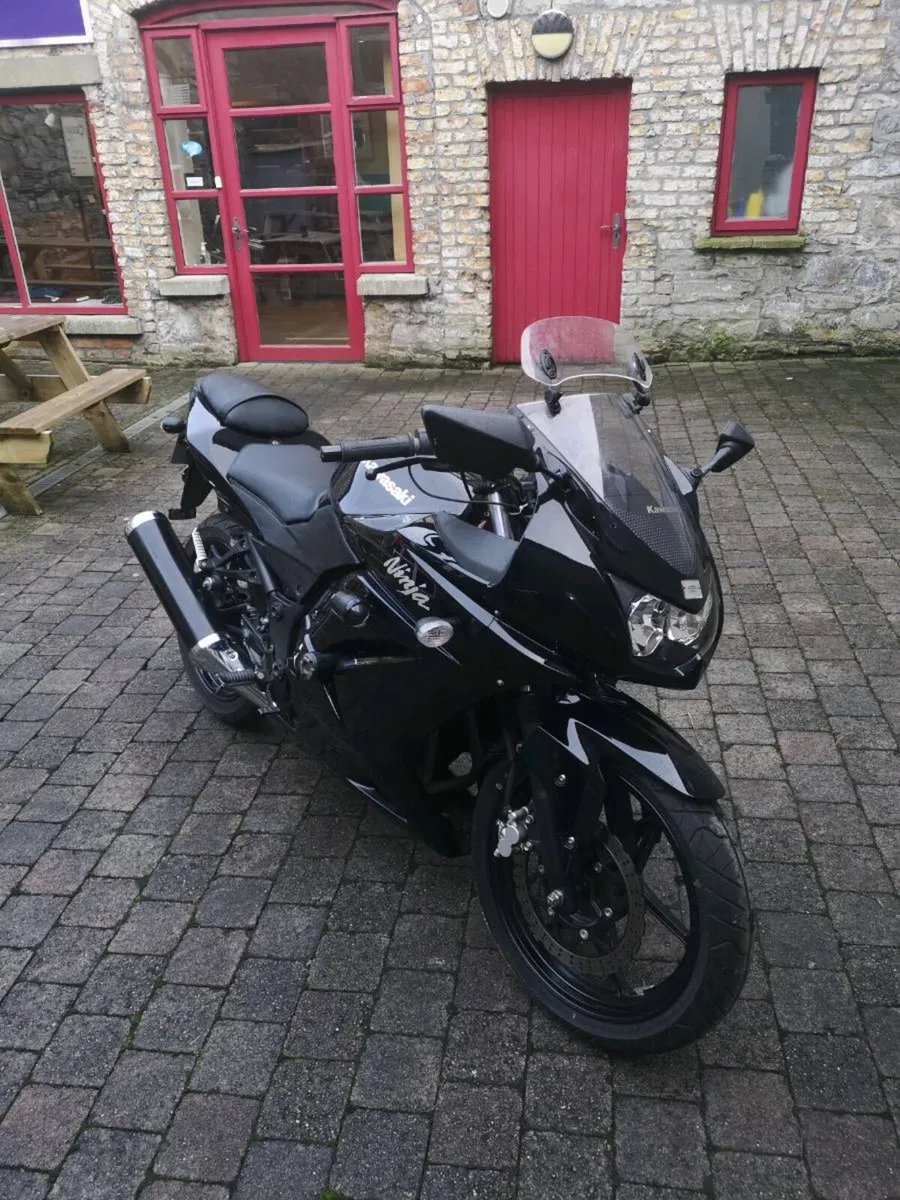 Kawasaki 250r Ninja - Image 2