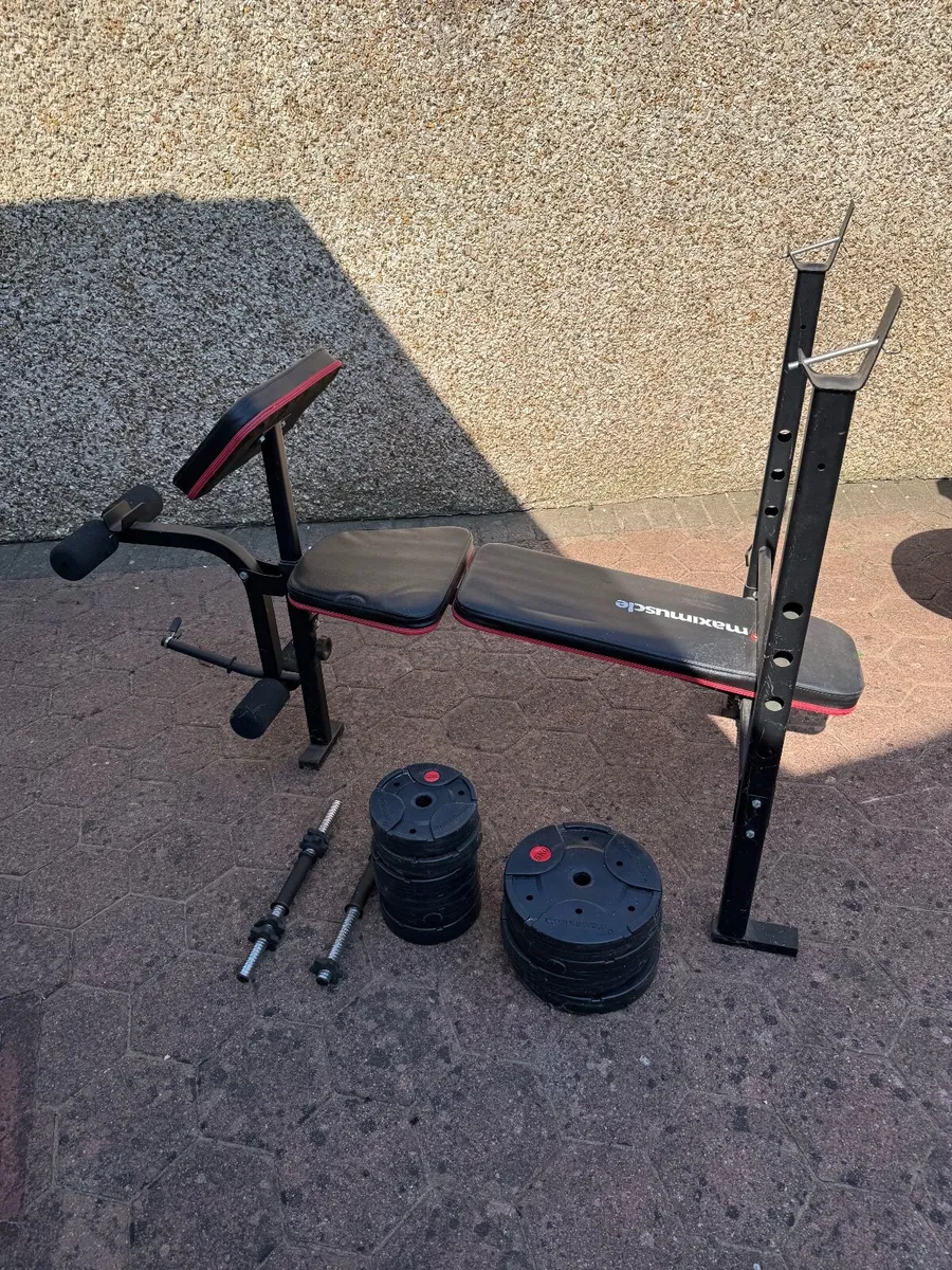 Gym Weight machine and rowing machine - Image 4