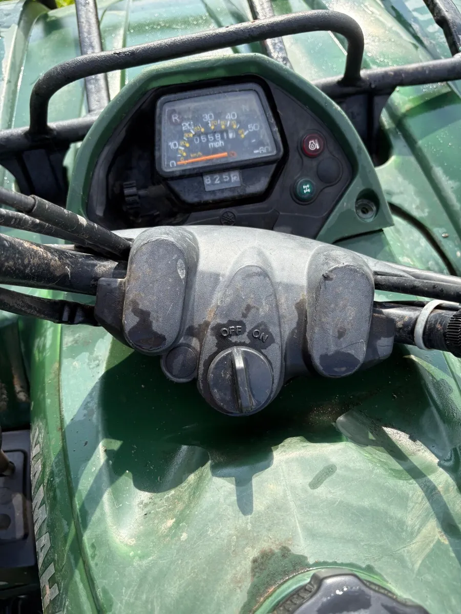 Yamaha 350 Grizzly - Image 3