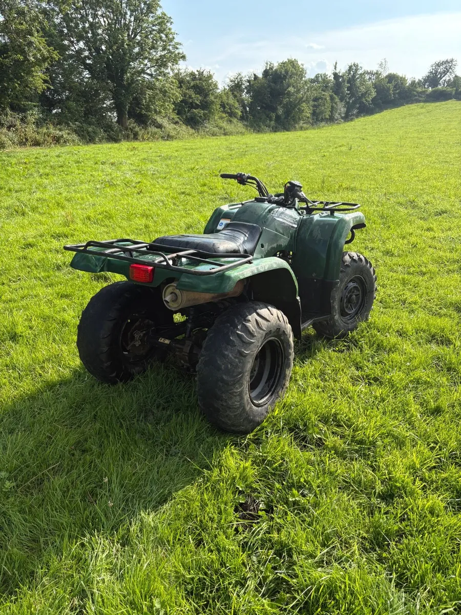 Yamaha 350 Grizzly - Image 4
