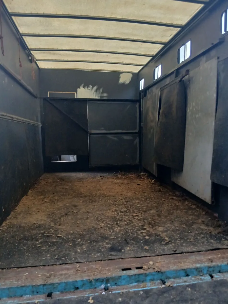 Volvo 5 Bay horse truck - Image 4