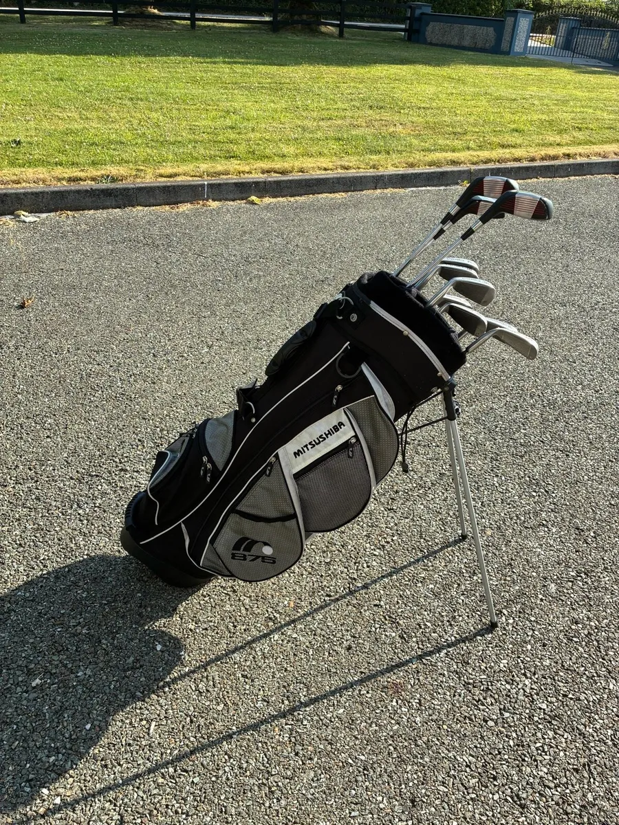 Ladies Clubs and Bag - Image 1
