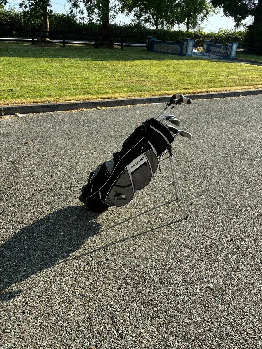 Ladies Clubs and Bag - Image 4