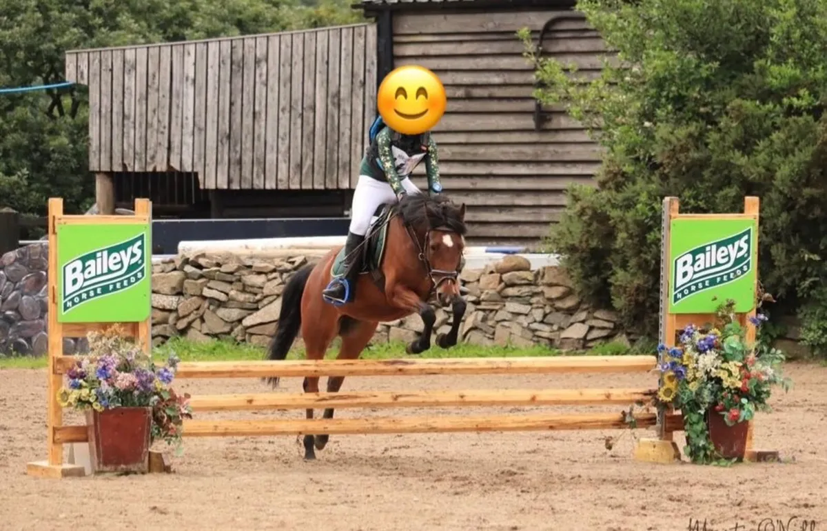 Competitive 128 pony - Image 3