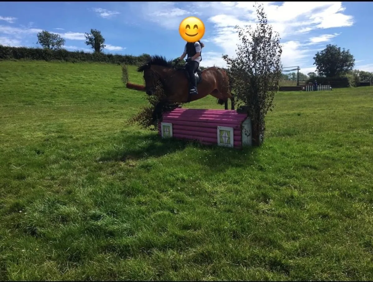 Competitive 128 pony - Image 2