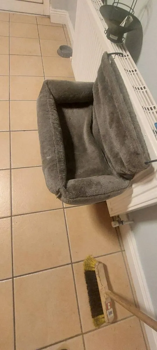 Cat bed