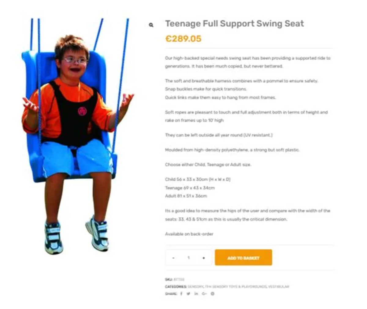 Swing (Special Needs Full Support - Teenager size) - Image 1