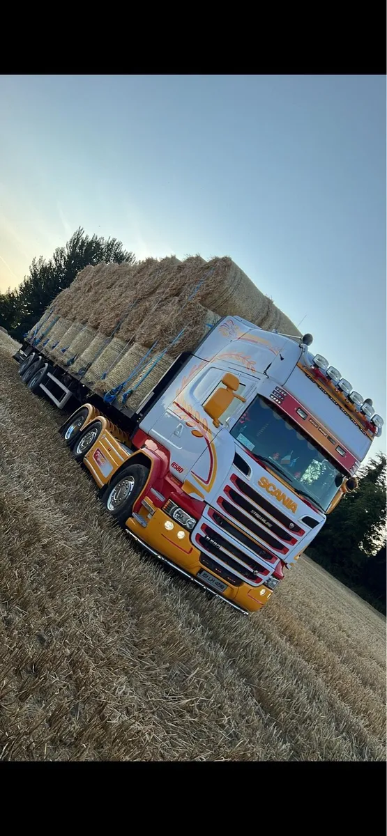 Barley straw - Image 3