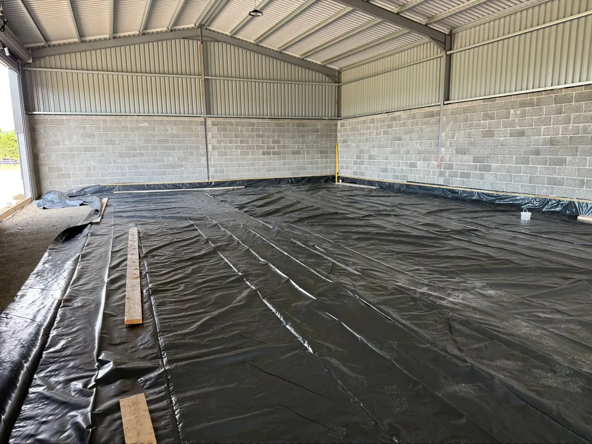Steel Shed - Image 3
