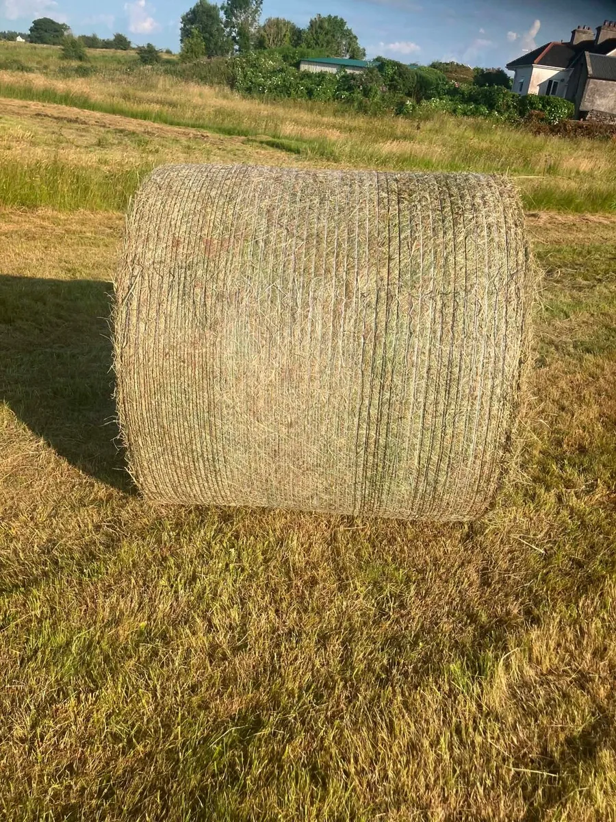 Bales of hay - Image 2