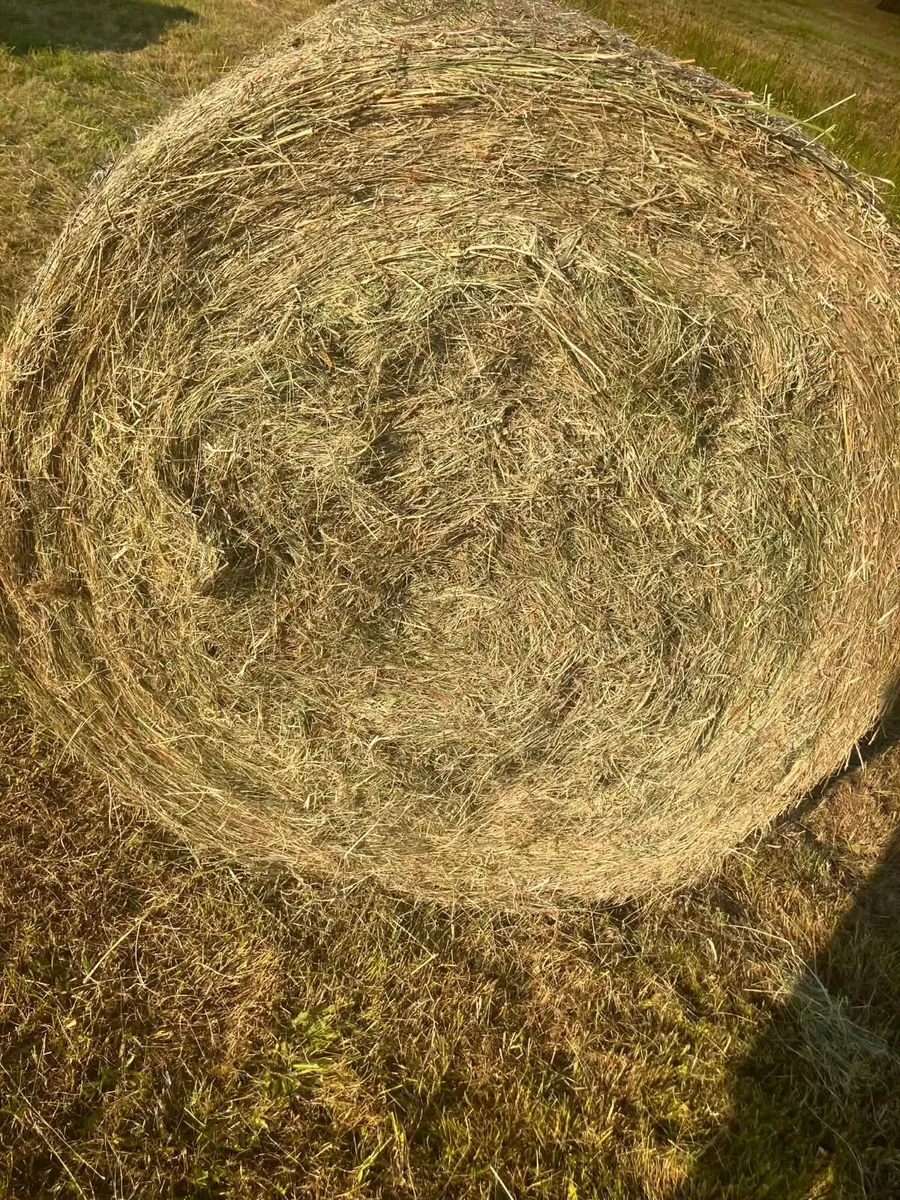 Bales of hay - Image 3