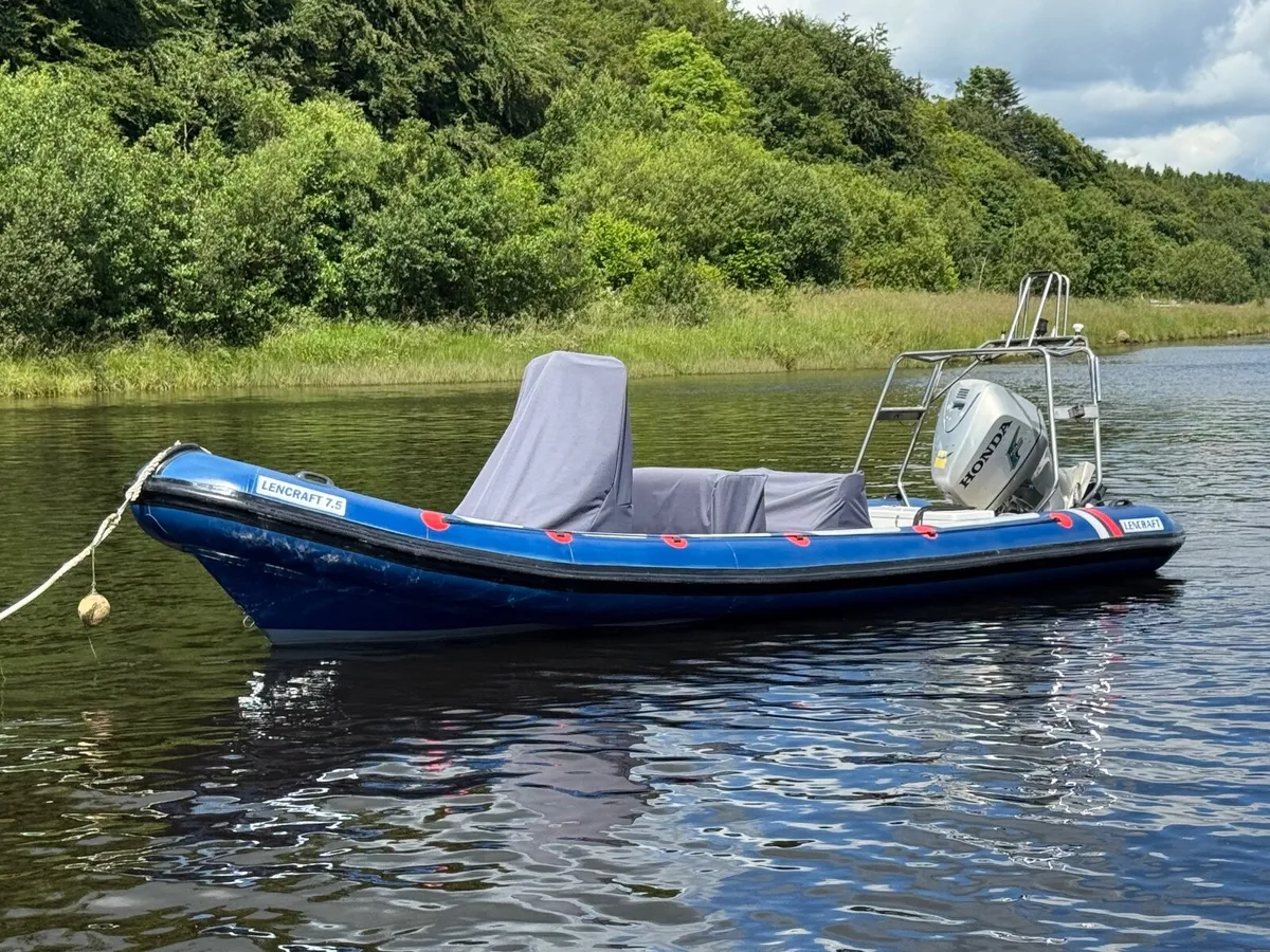 Rib - Image 1