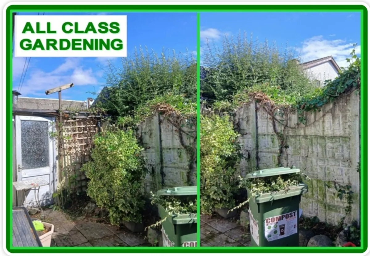 All class steam cleaning & garden service - Image 2
