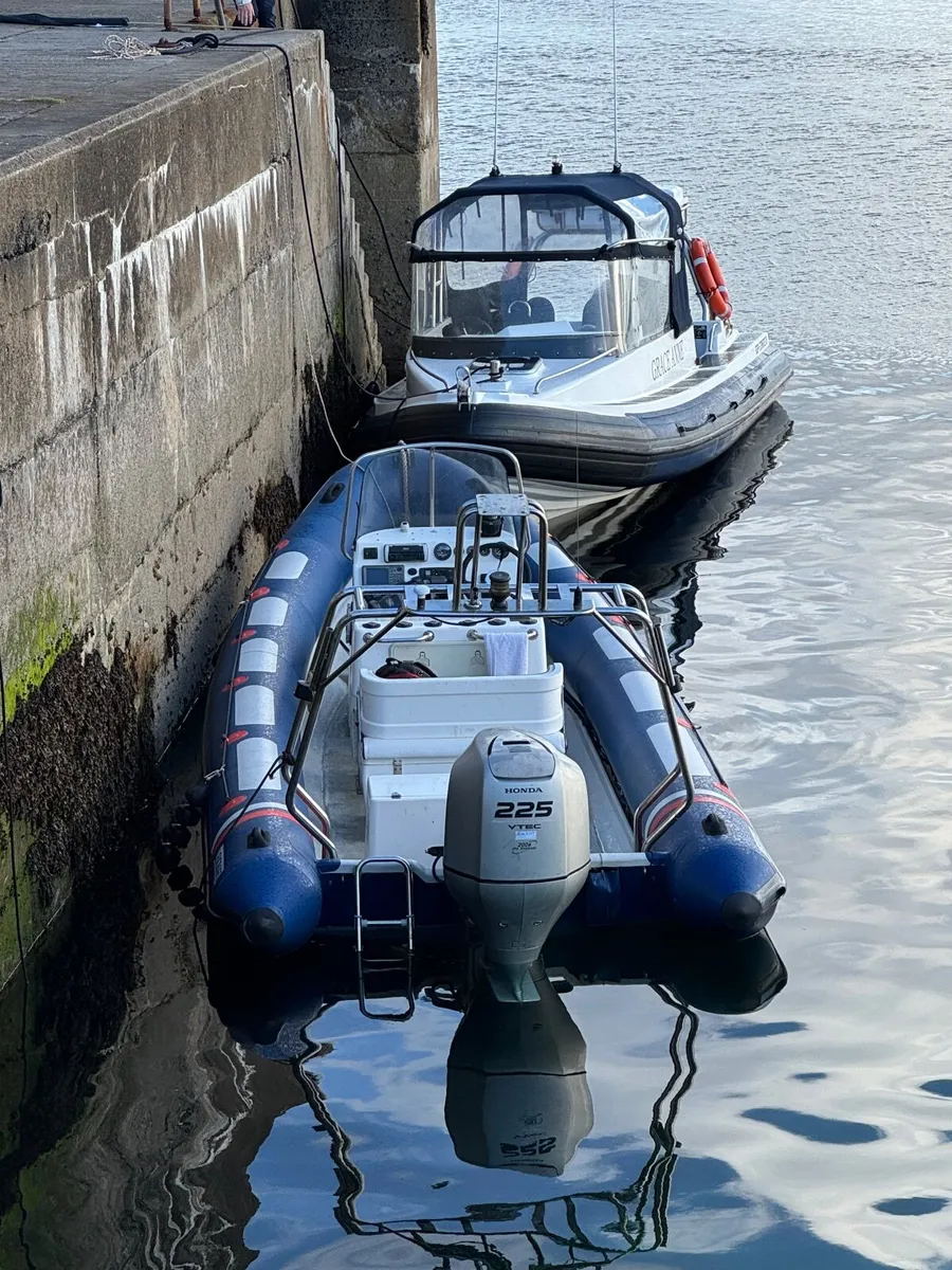 Rib - Image 3