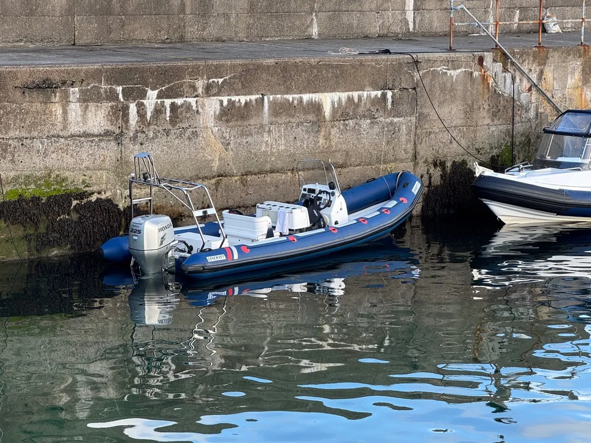Rib - Image 4