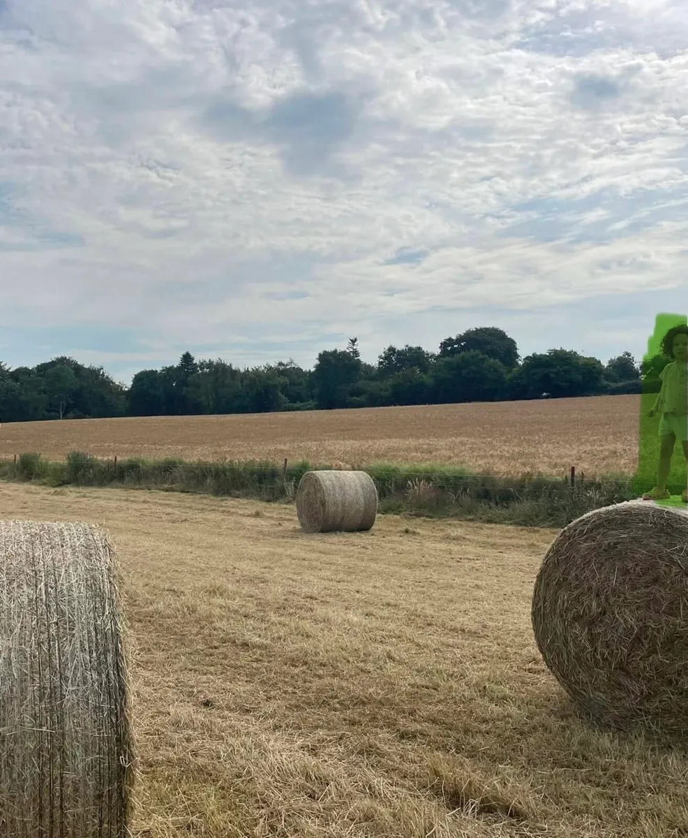 Hay (round) - Image 1