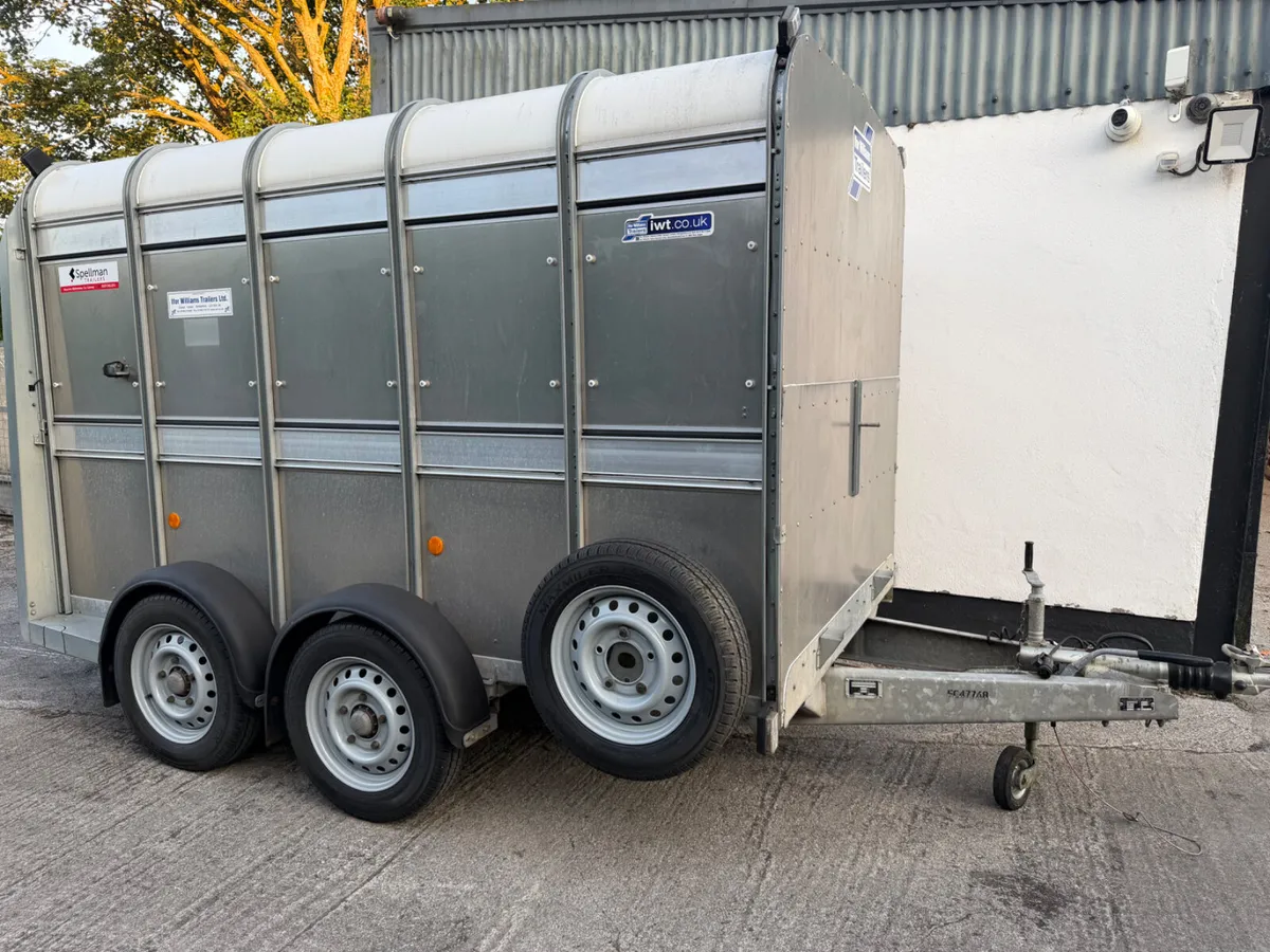 Ifor Williams livestock - Image 4
