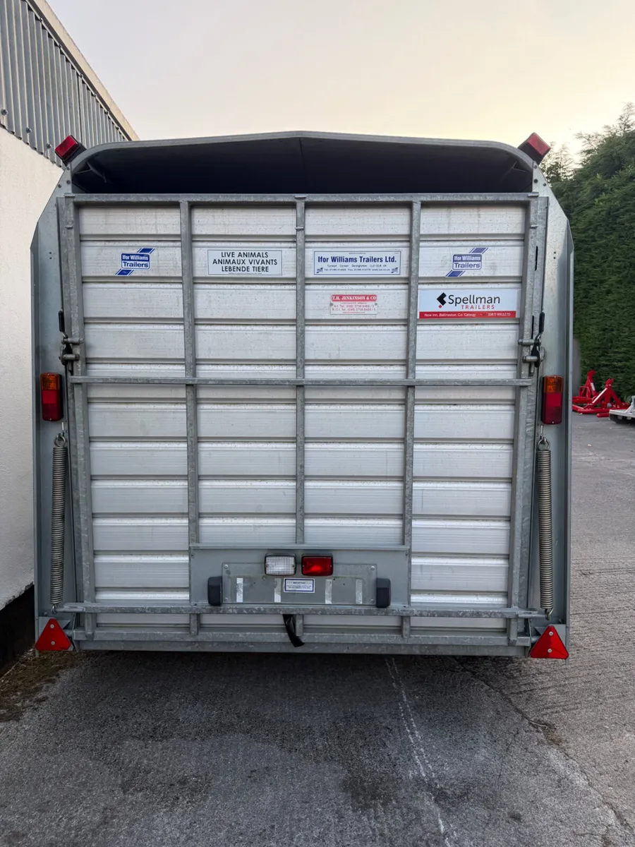 Ifor Williams livestock - Image 3