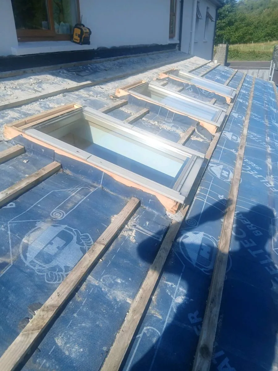 Velux windows - Image 1