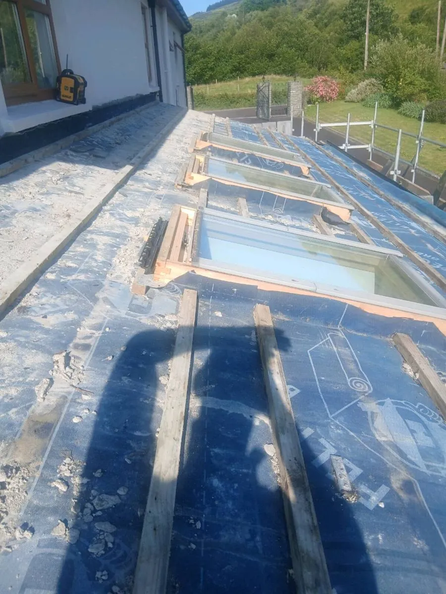 Velux windows - Image 2