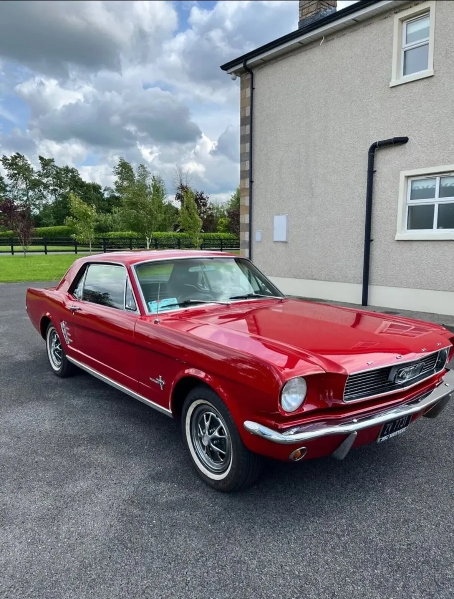 Ford mustang  1966. 3.3l - Image 3