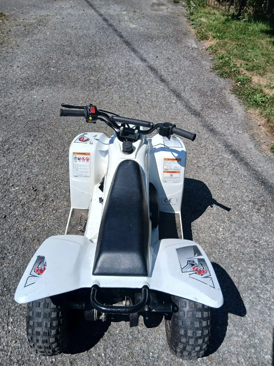 50cc Buzz Quad - Image 3