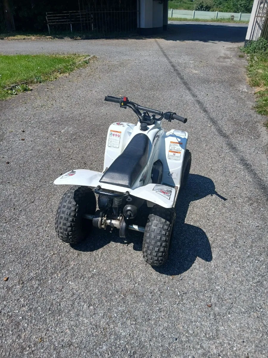 50cc Buzz Quad - Image 4
