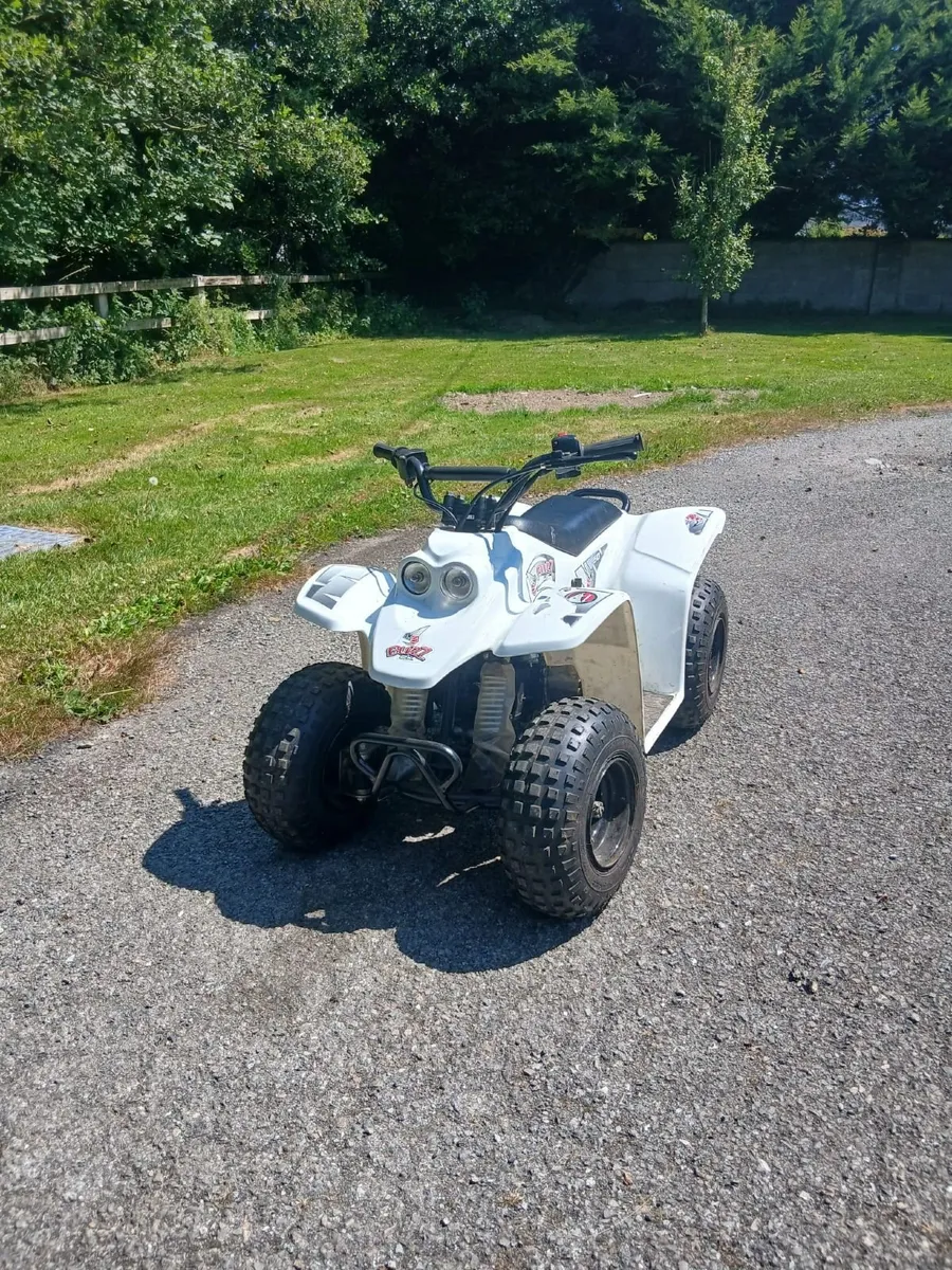 50cc Buzz Quad - Image 2
