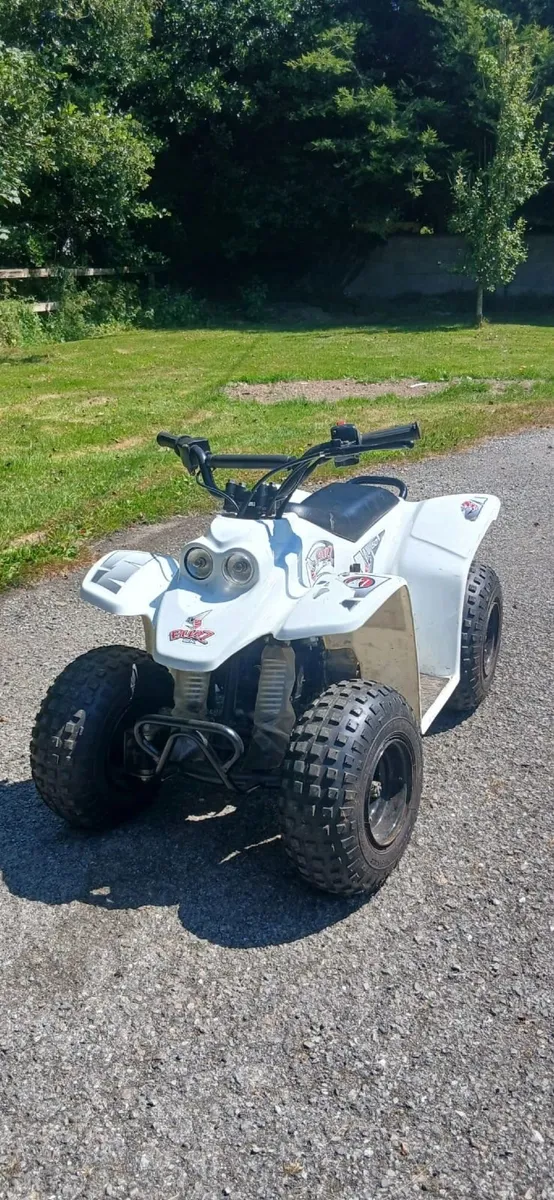 50cc Buzz Quad - Image 1