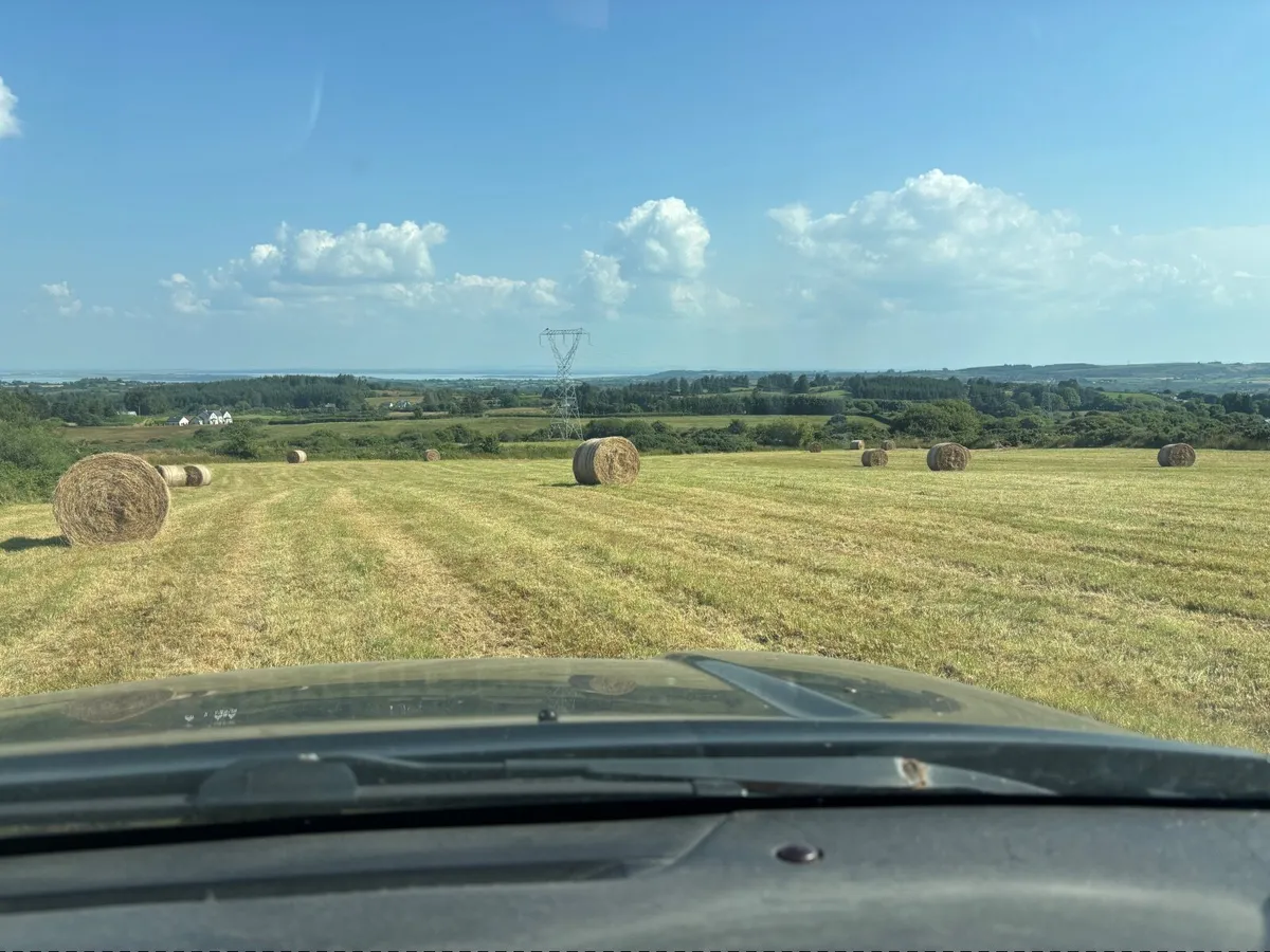 Hay - Image 2