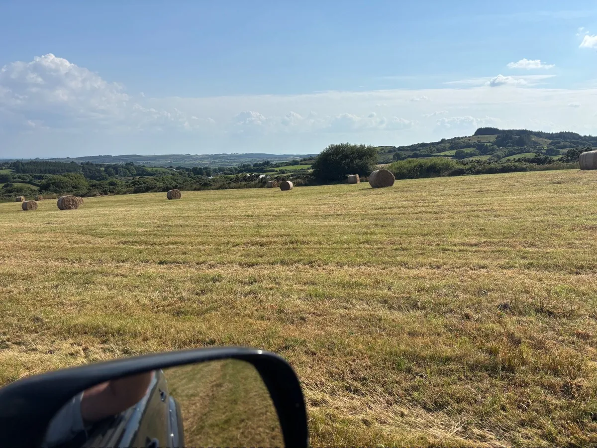 Hay - Image 3