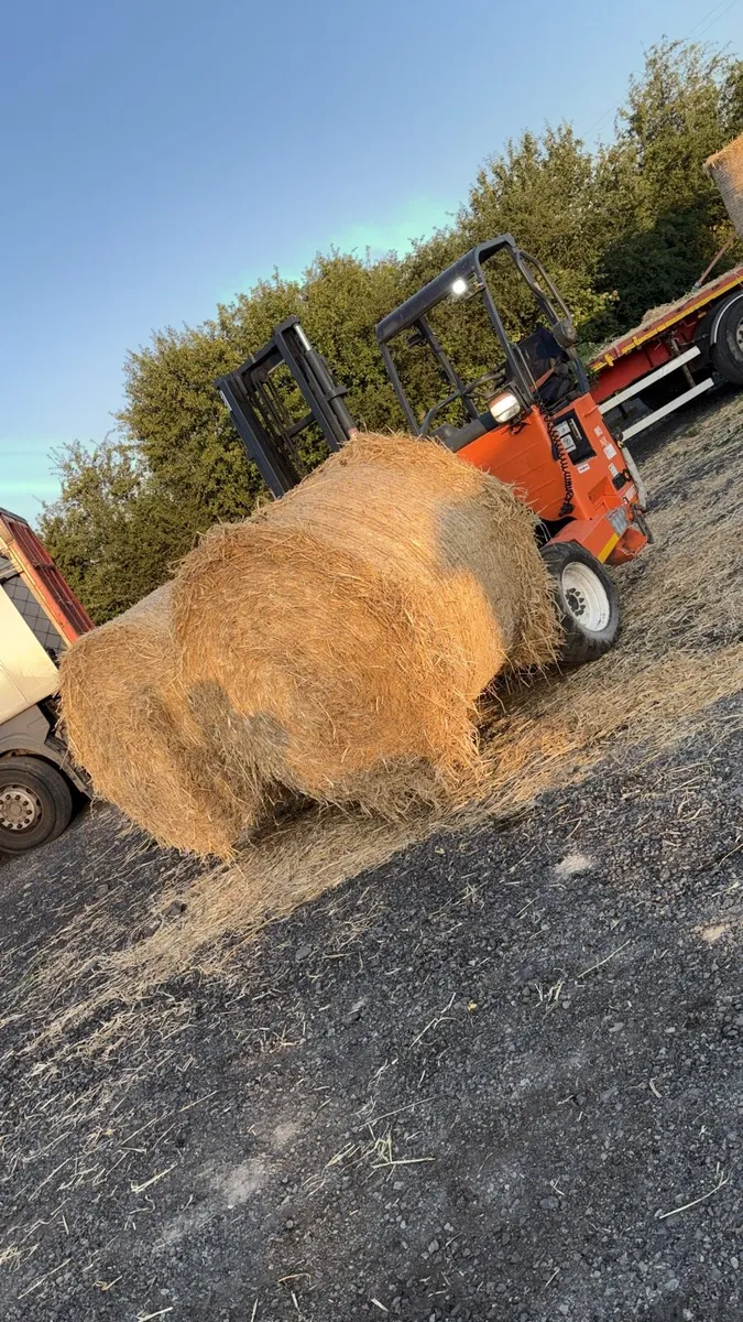 Winter barley straw - Image 1