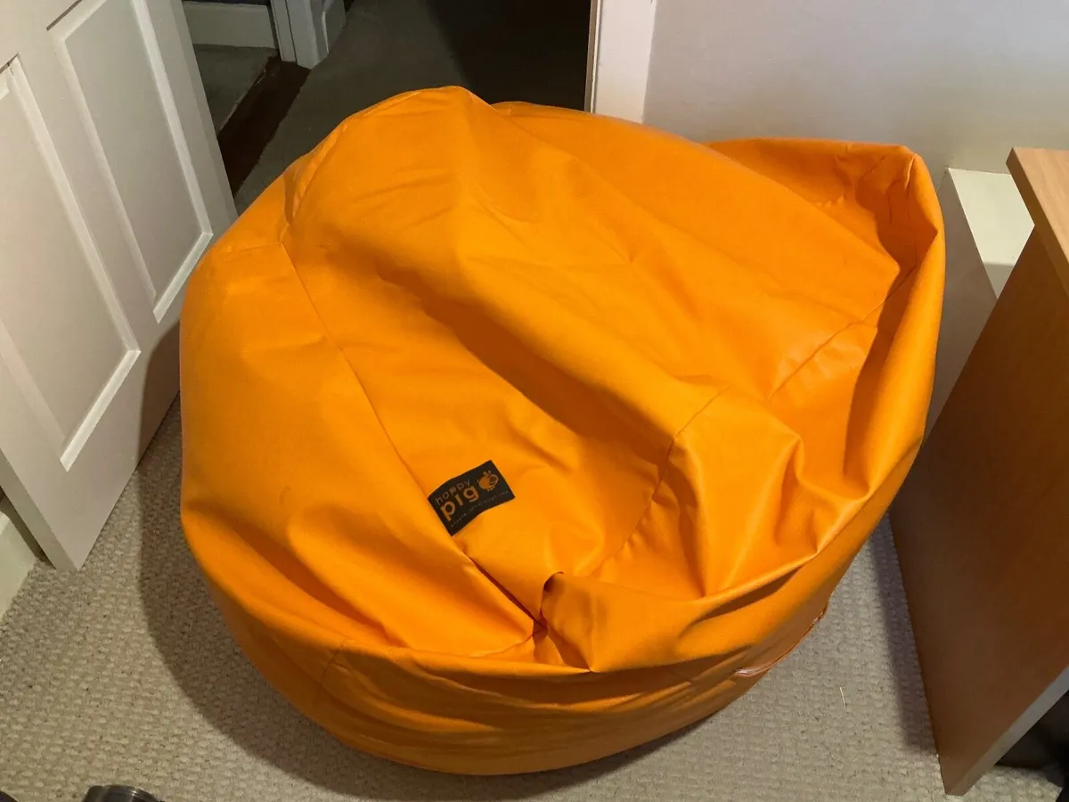 Bean Bag - Image 3
