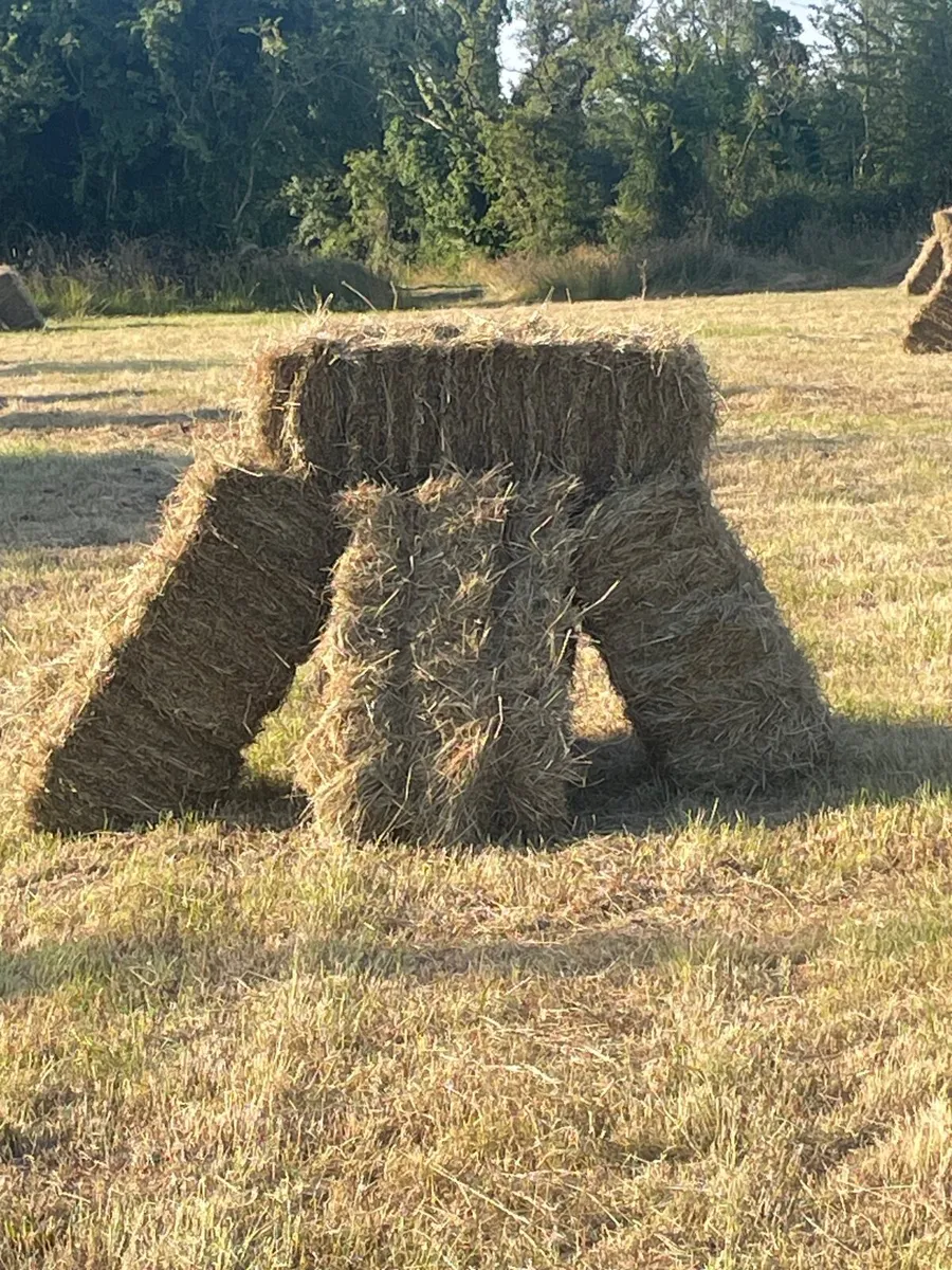 Hay - Image 1