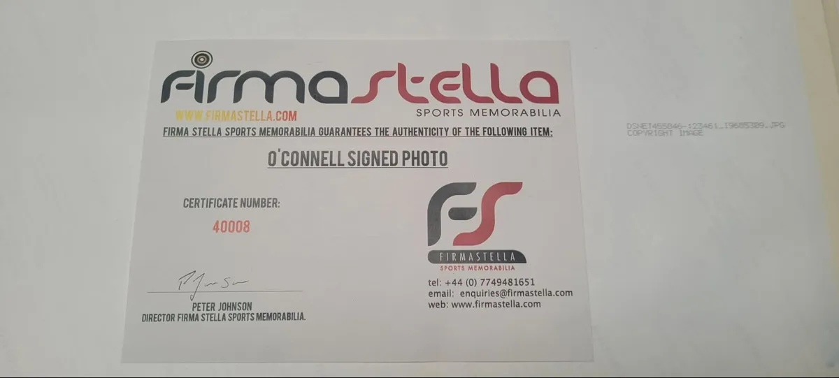 Paul O Connell Signed Framed Picture - Image 4