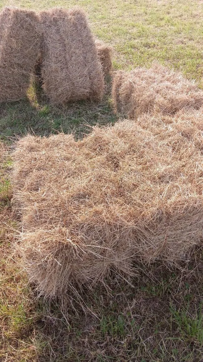 Square Hay Bales - Image 2