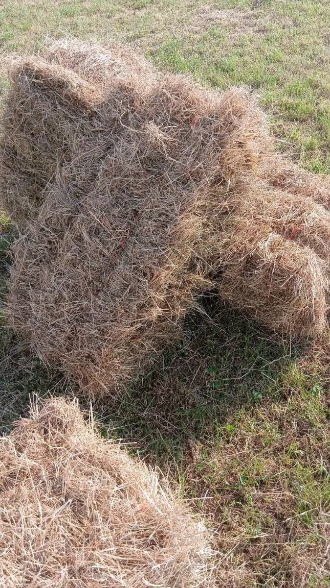 Square Hay Bales - Image 3