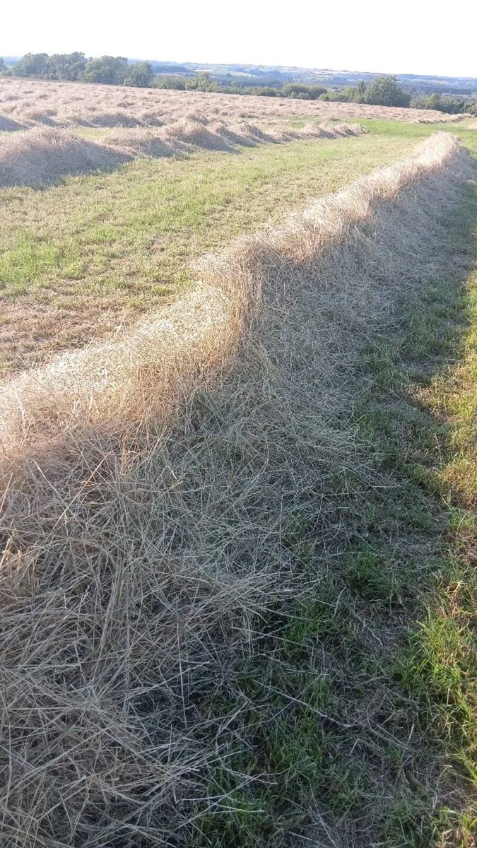 Square Hay Bales - Image 4