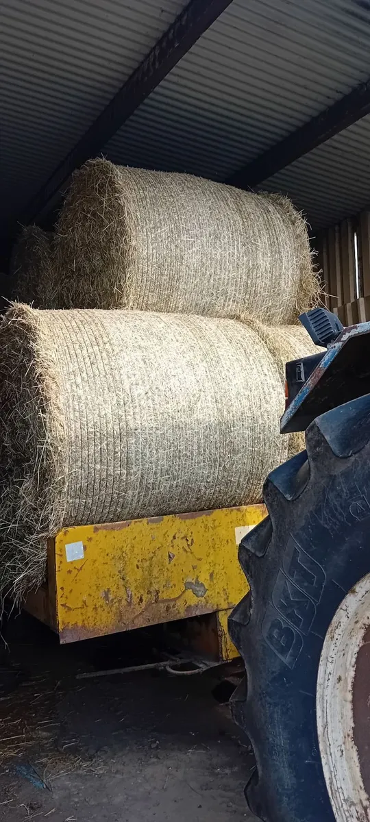 Hay
