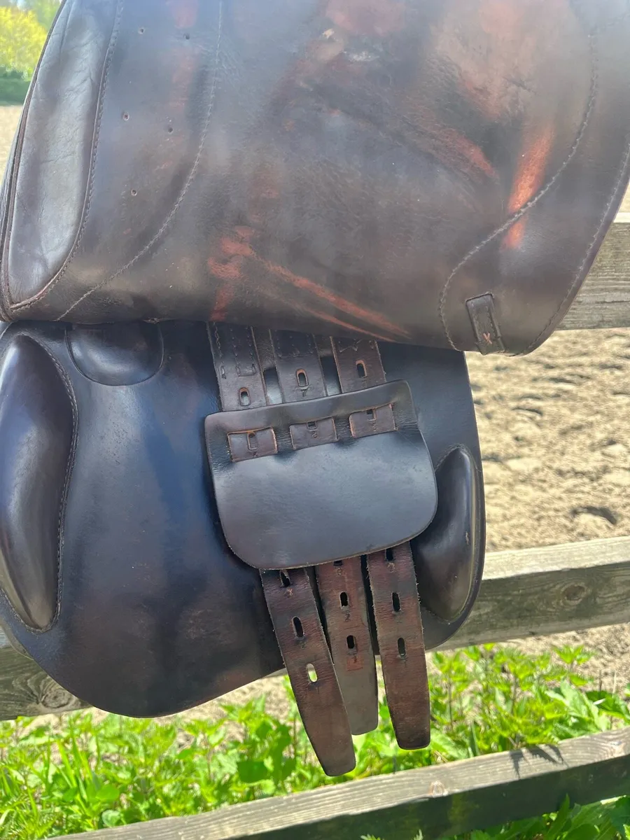Selleria De Garda jump saddle - Image 4
